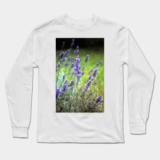 The lavender Long Sleeve T-Shirt